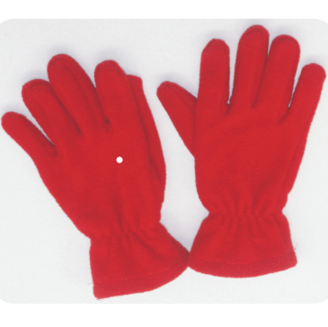 Polar Fleece Gloves