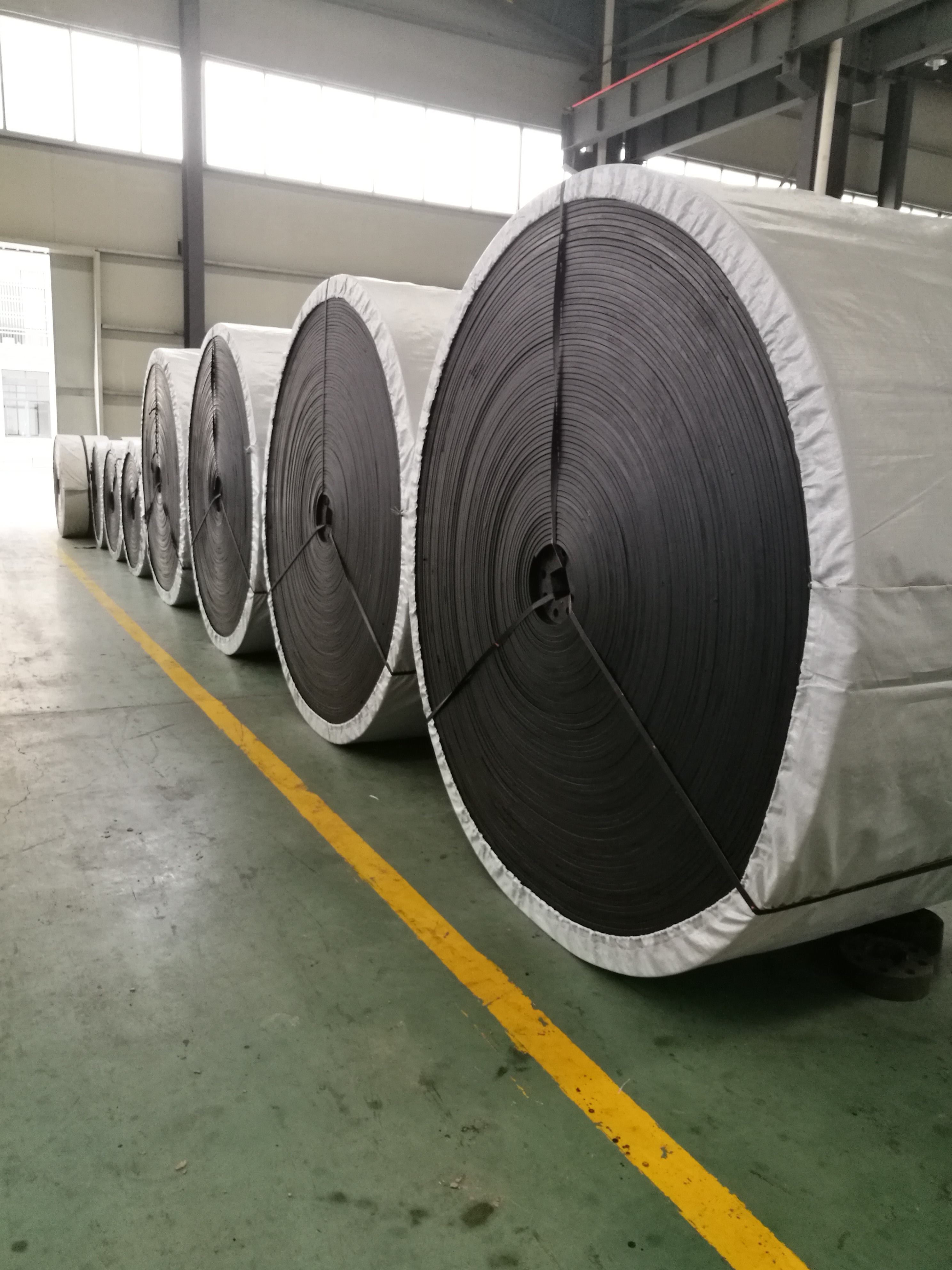 Nn Conveyor Belt
