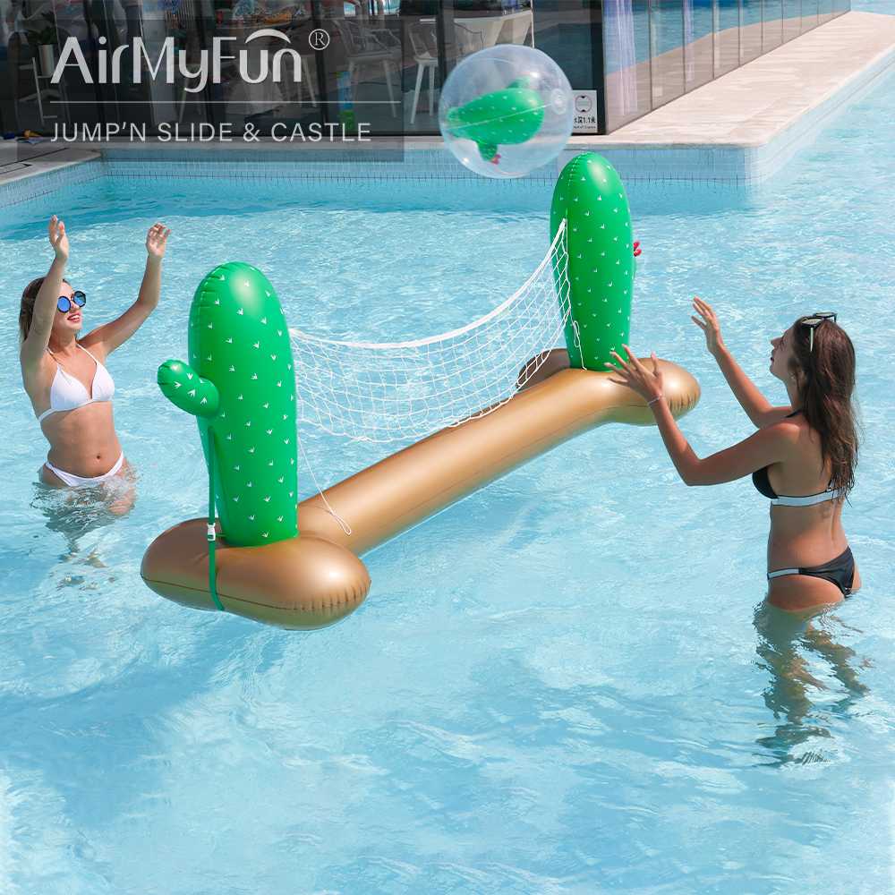 Cactus Volleyball Set