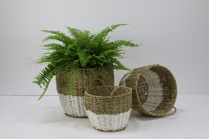 S/3 storage basket