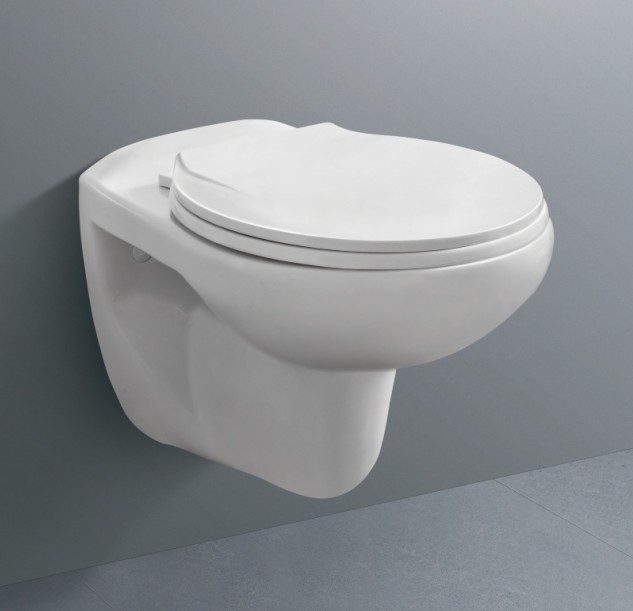 Economic wall hung toilet