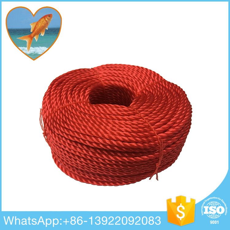 PE Rope