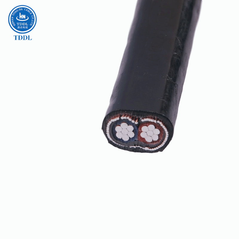 0.6/1kv XLPE Insulated Concentric Cable