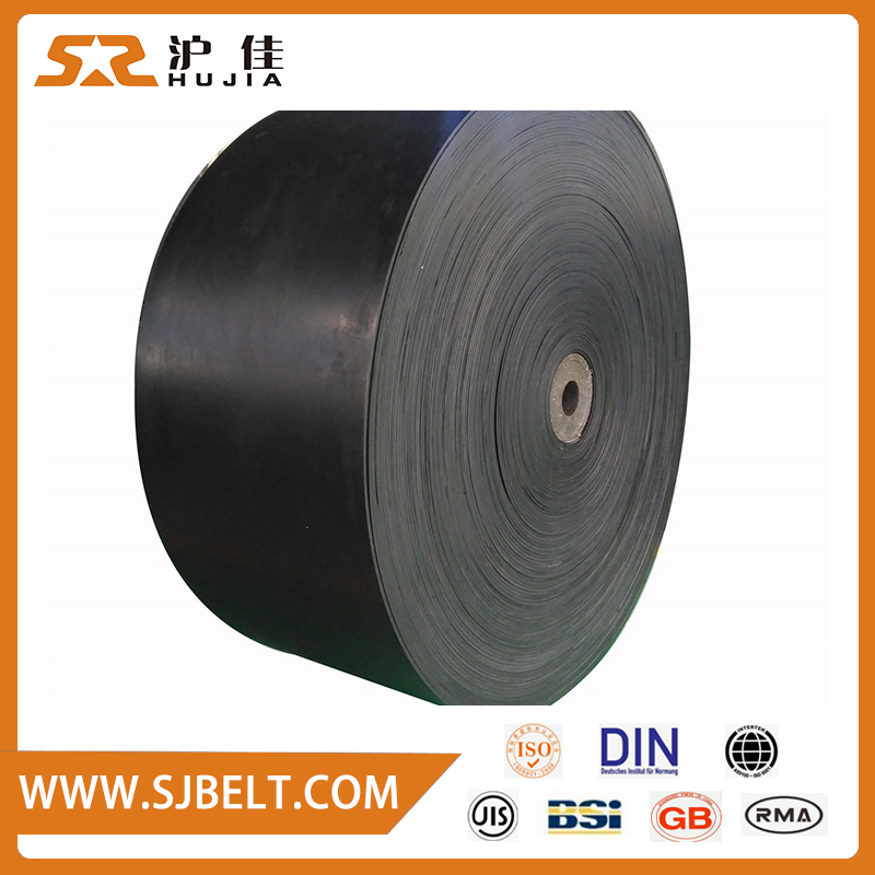 Acid-alkaline Resistant Conveyor Belt