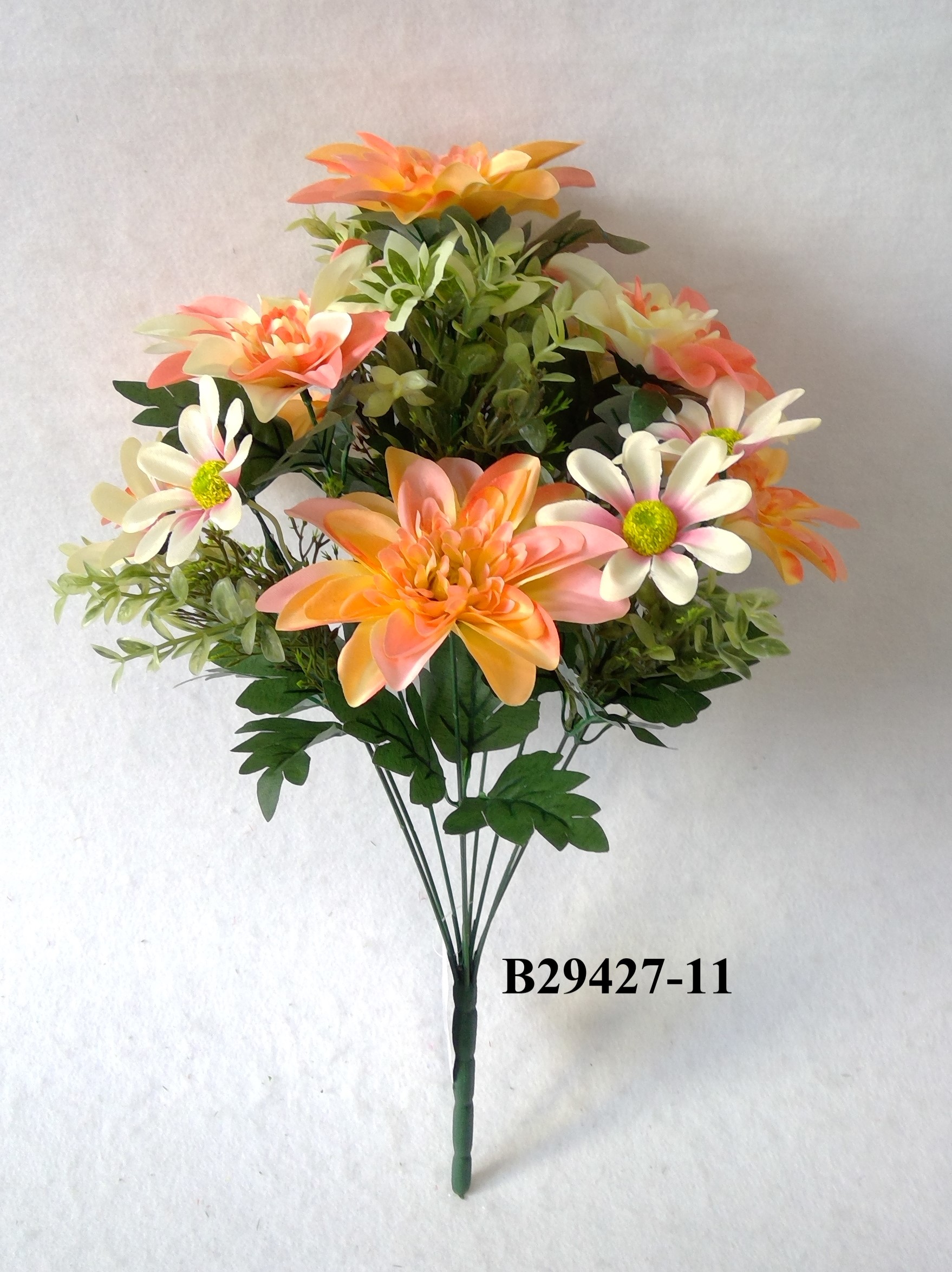 Chinese peony daisy mix bush x 11