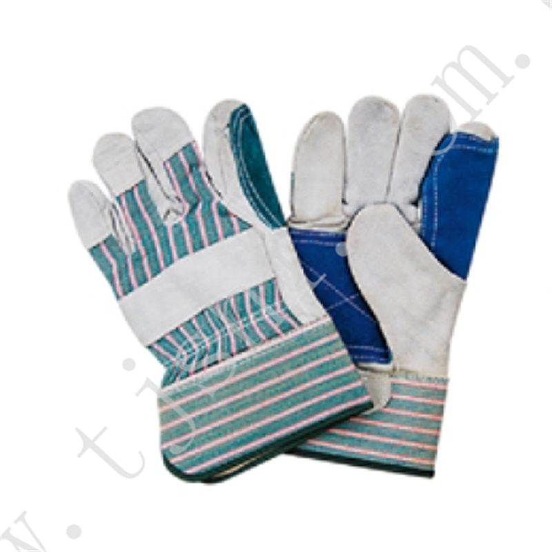 GLOVE