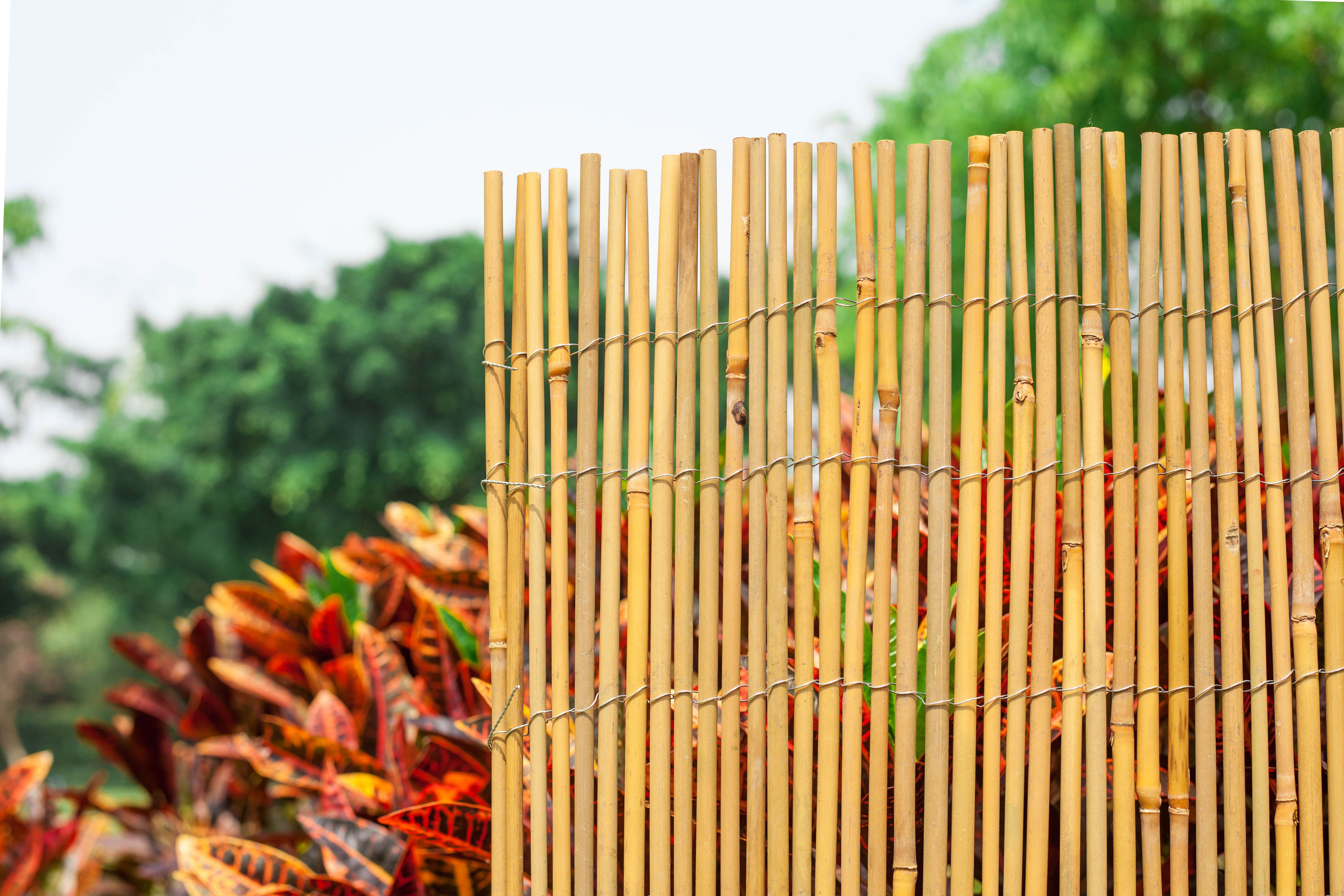Bamboo Stick Fence