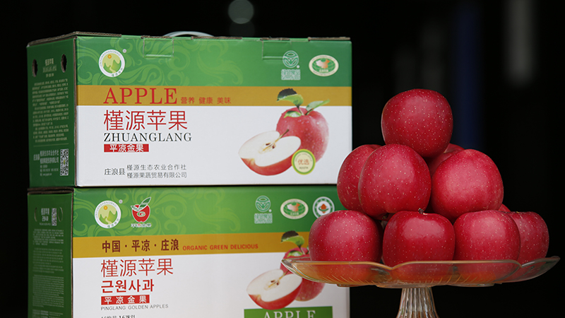 Zhuanglang Jungyuan Fruits and Vegetables Trading Co., Ltd. – Product photos 2