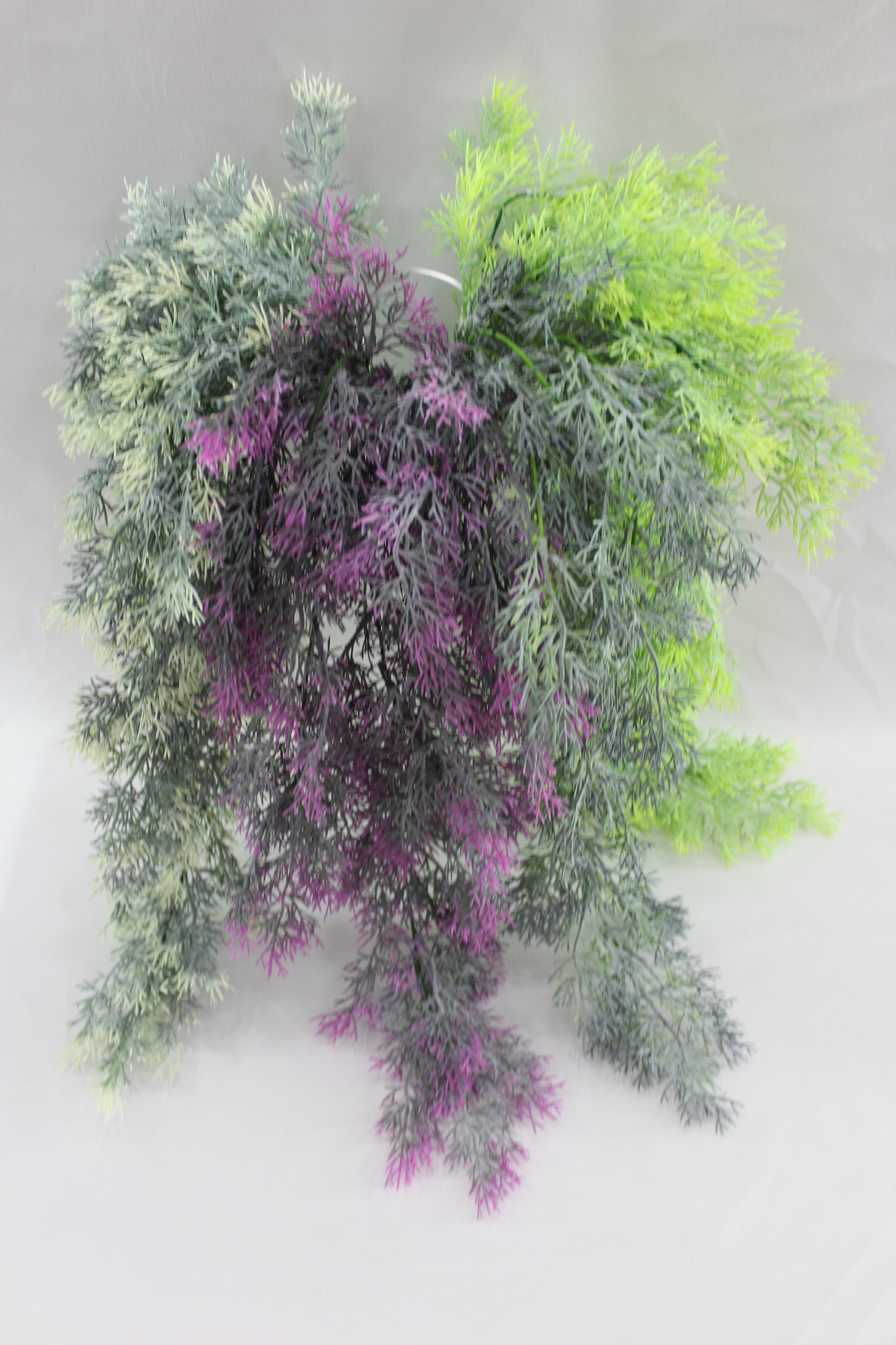 Plastic Plants