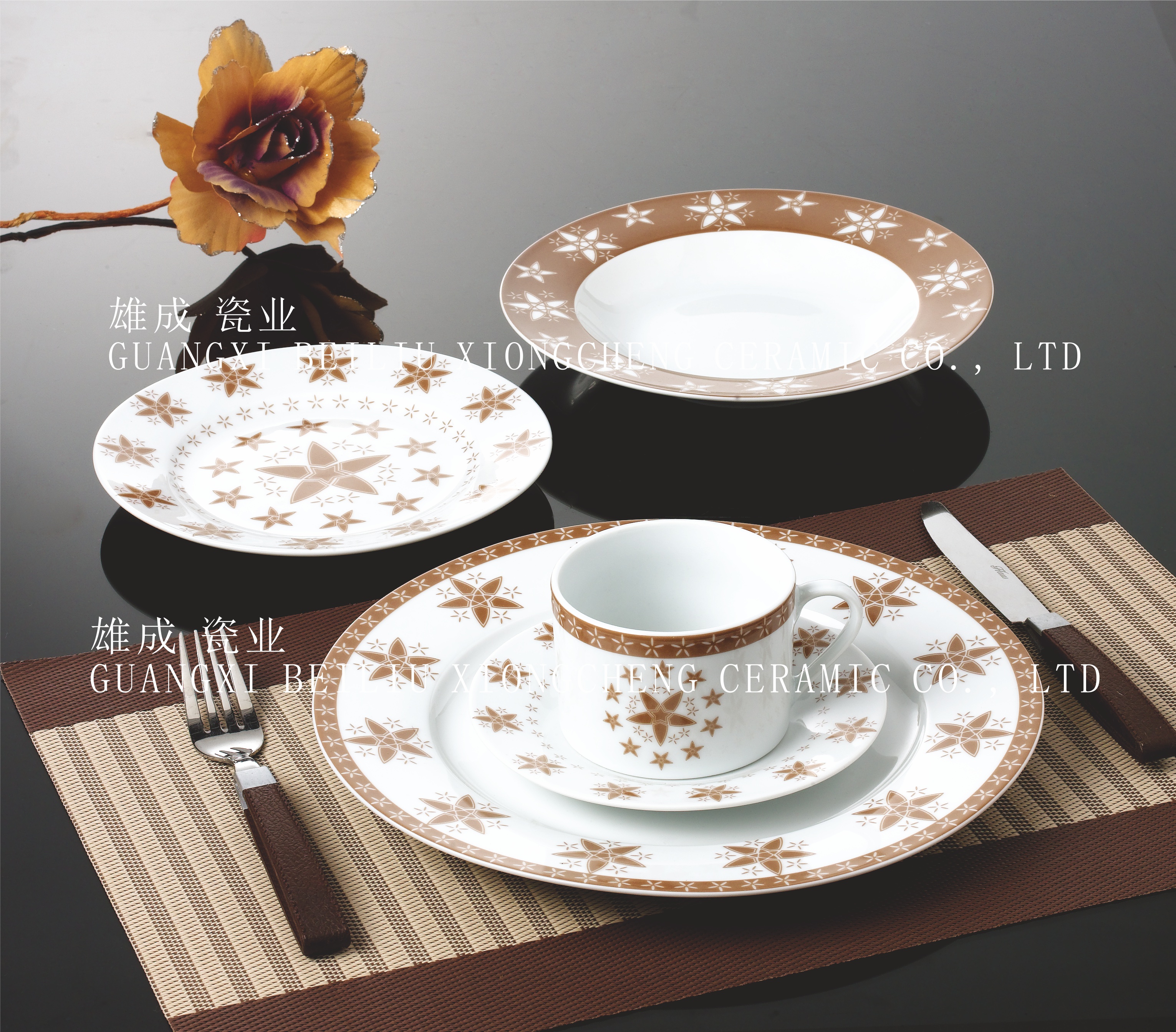 Round shape 20pc dinner set
