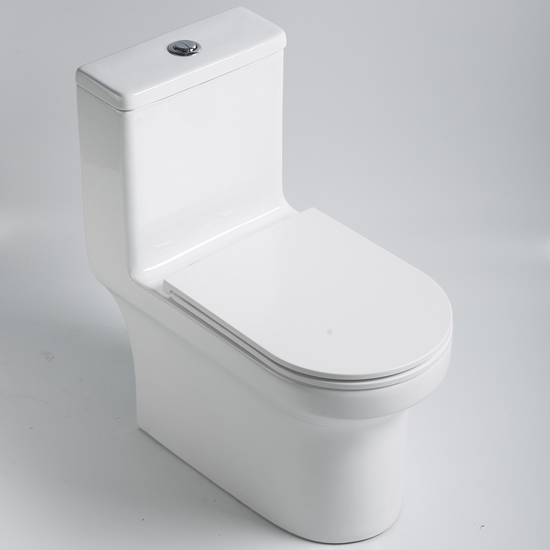 Rimless One Piece Toilet