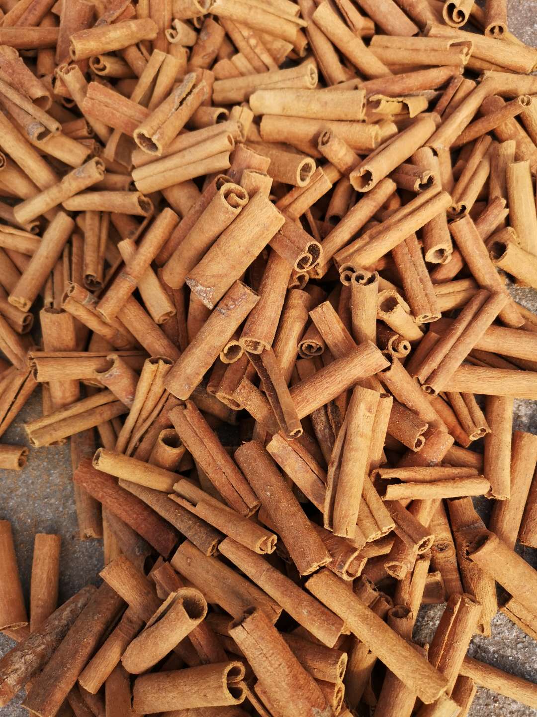 Cassia Cigar