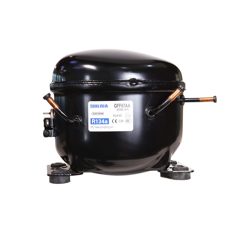 ZHEJIANG BINGFENG COMPRESSOR CO.,LTD. – microondas compacto 1