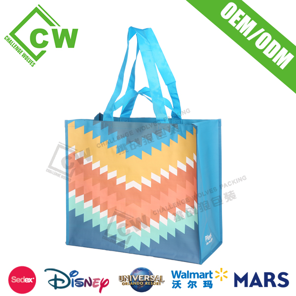 Pp Woven Shopping Bag
