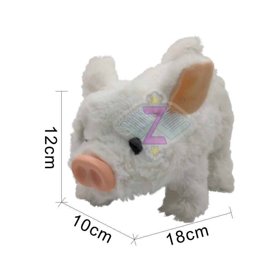B/O middle pig