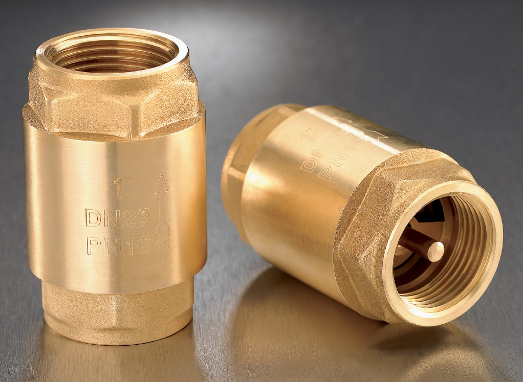 Check valve