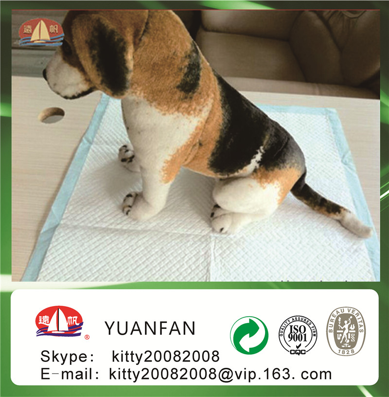 Pet mat use hydrophilic nonwoven fabric