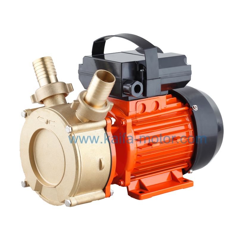 BE series fuel pump