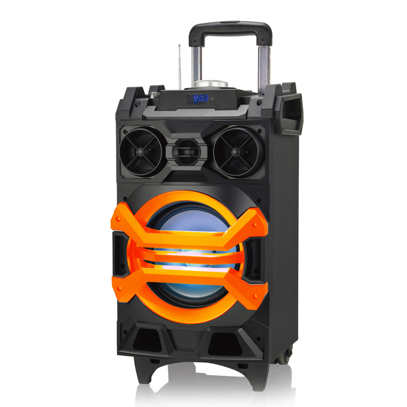 Wooden speaker WZ-DLS-AP-D91