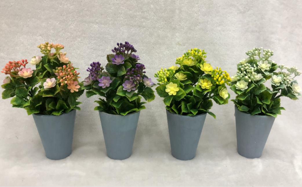 123#potted Plants