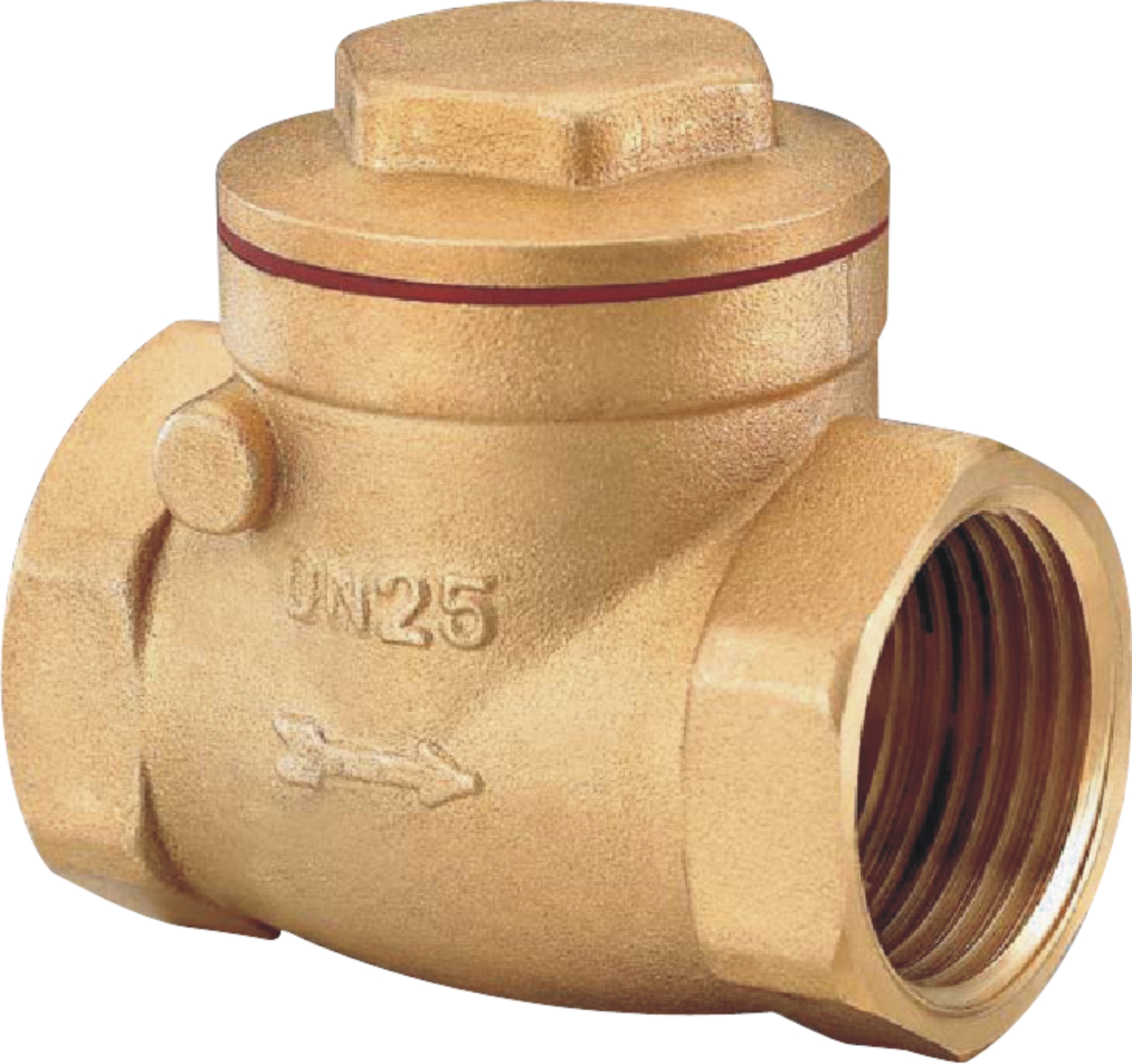 check valve