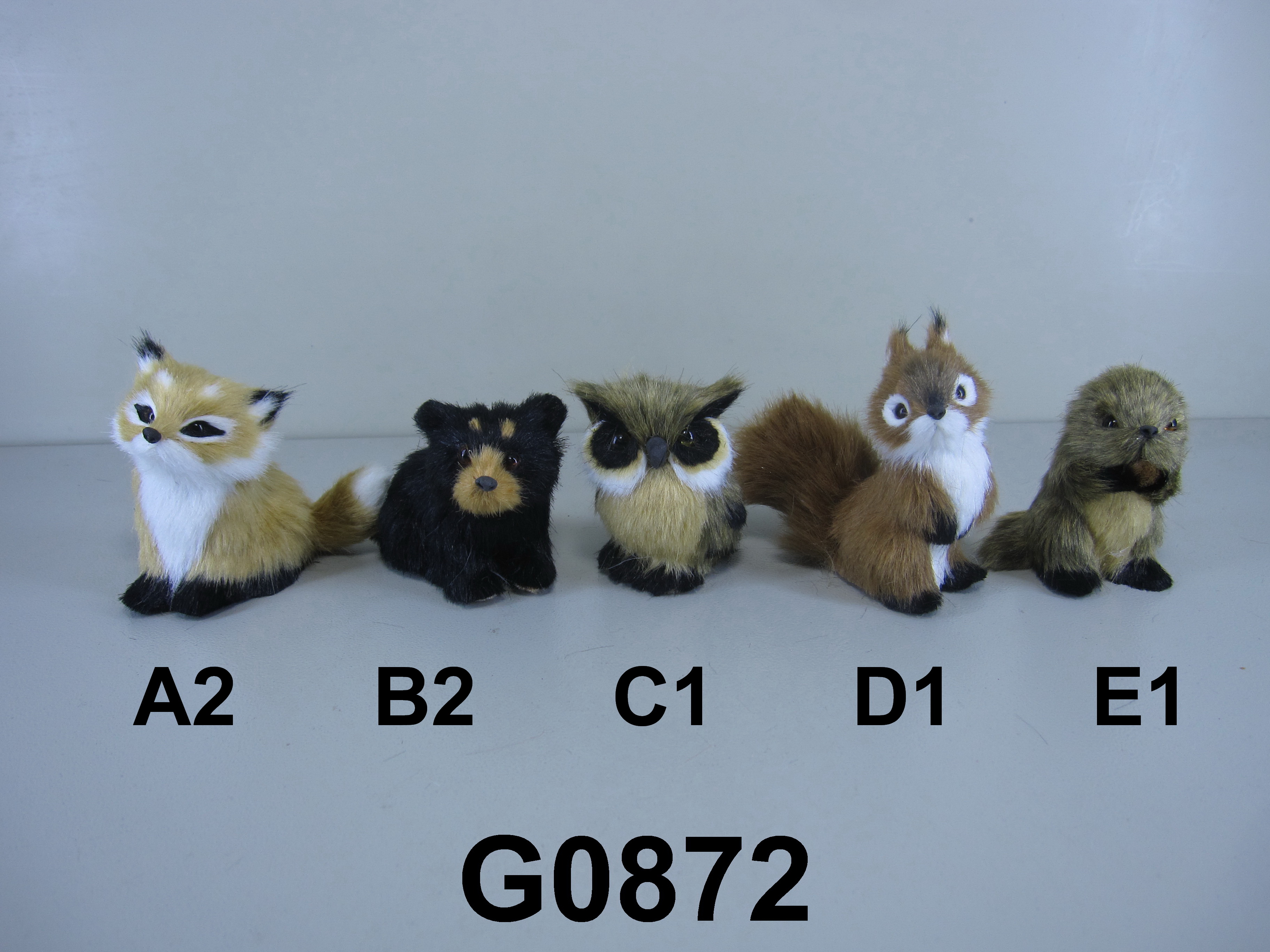 Forest Animals