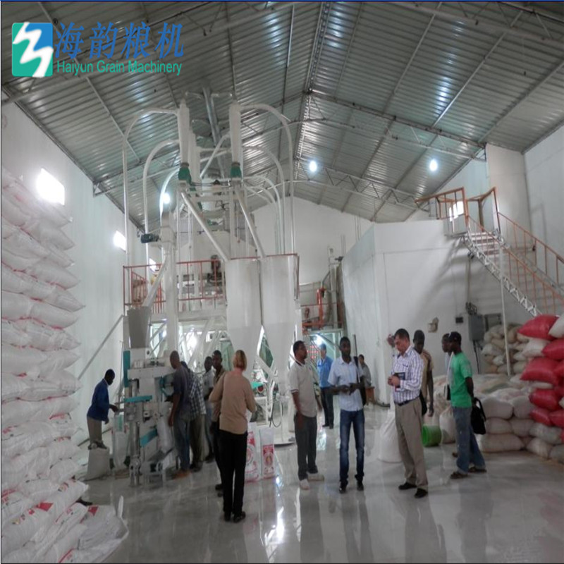 hot 50tons of corn flour mill machine plant