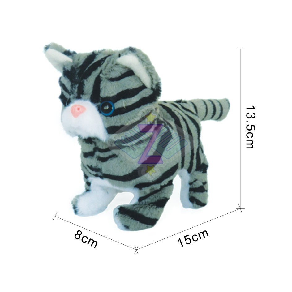 B/O cat