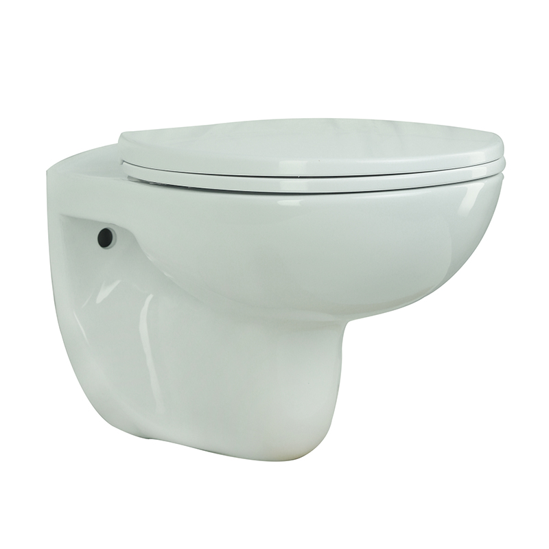 Wall Huing Toilet