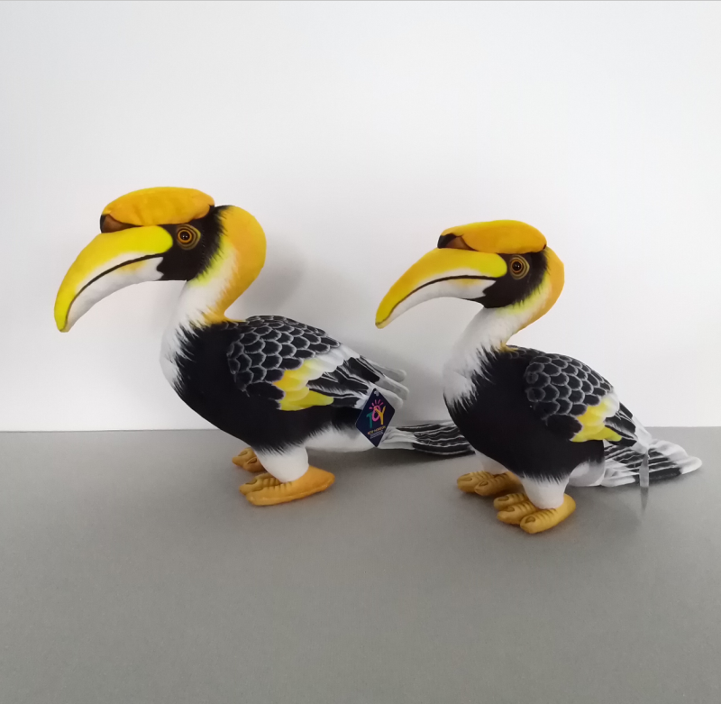 Hornbill