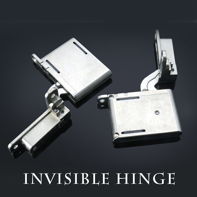 invisible Hinge