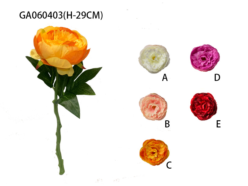 Single peony
