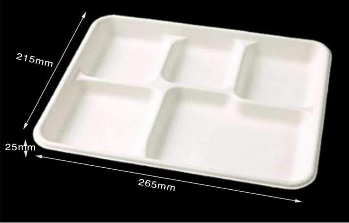 5compartments Tray