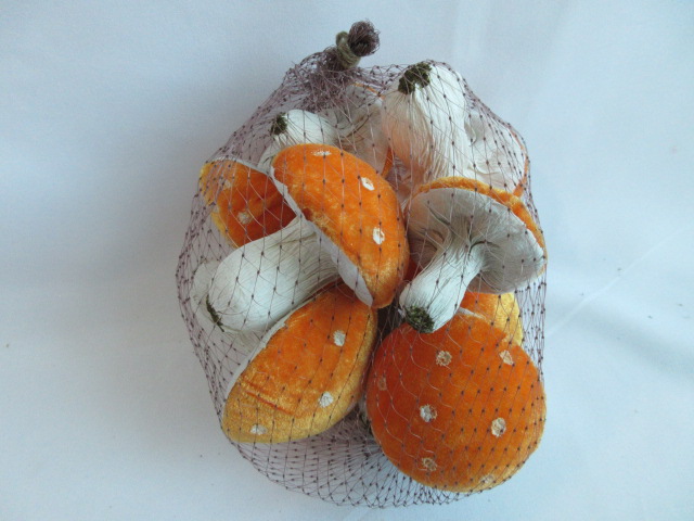 mushroom