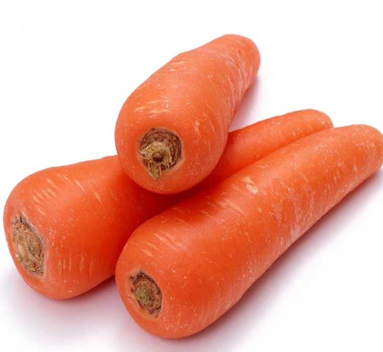 2020 Fresh Carrot