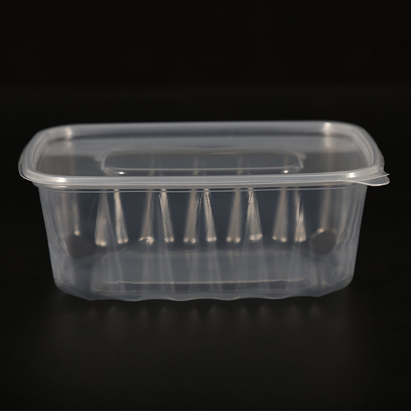 Disposable Packing Container