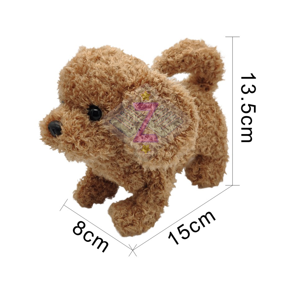 teddy