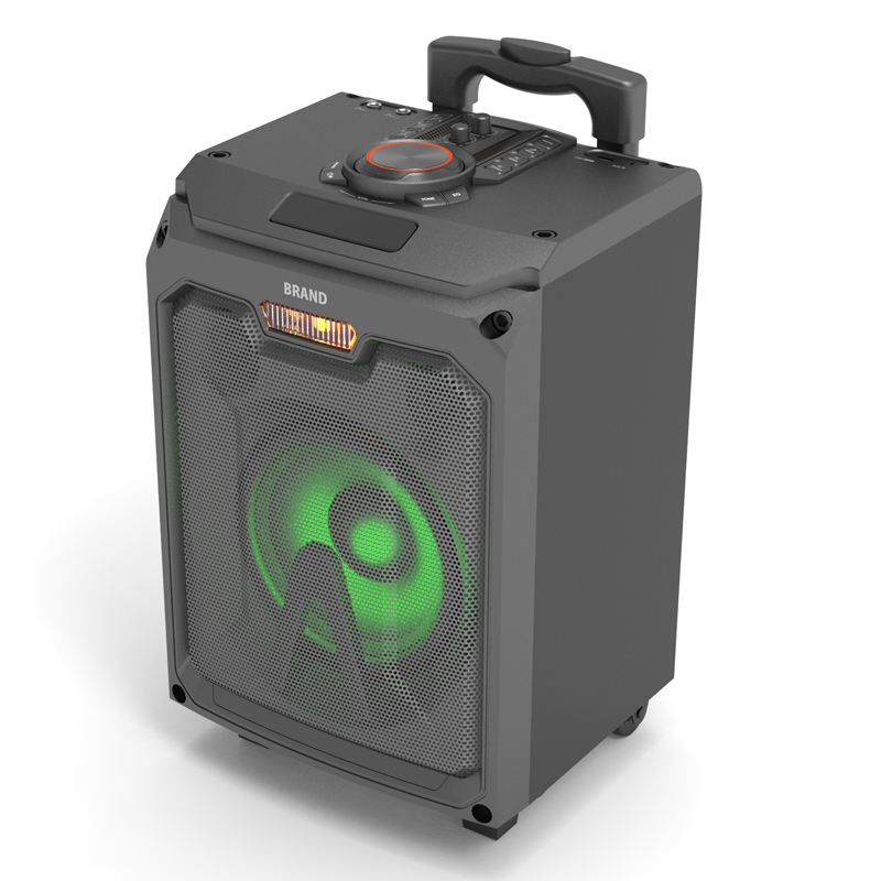 Party Speaker