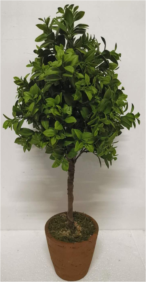 flower pot