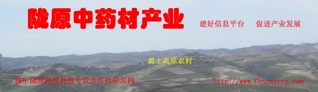 Yuzhong Longyuan Medicinal Materials Planting Professional Cooperative – Licorice 1