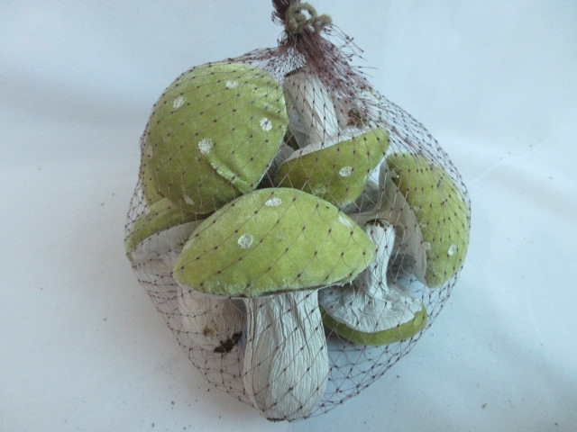 mushroom