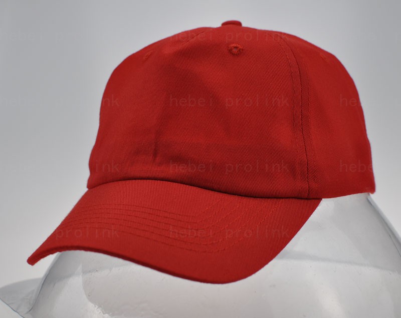 5 Panels Cap