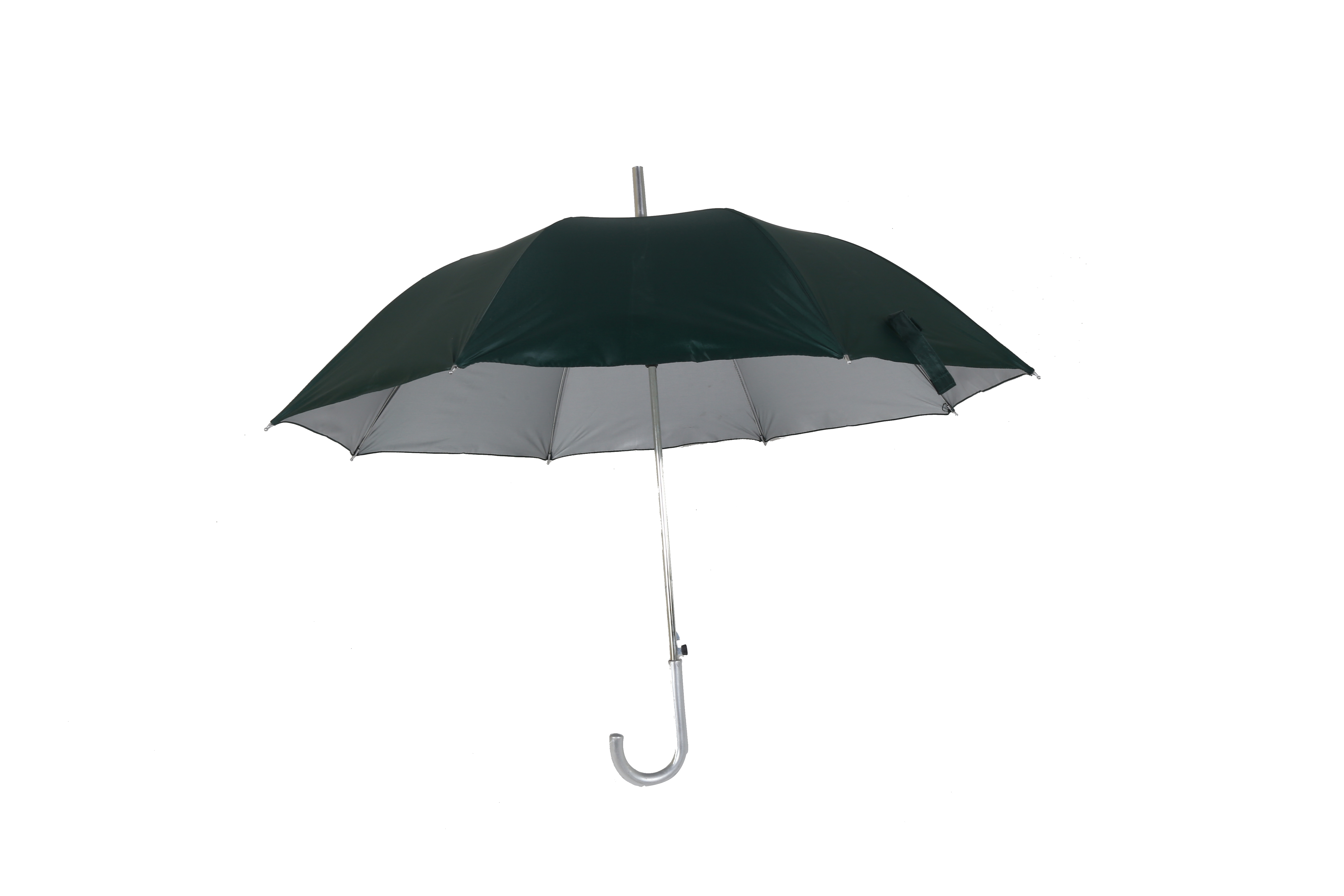 Silver Umbrella