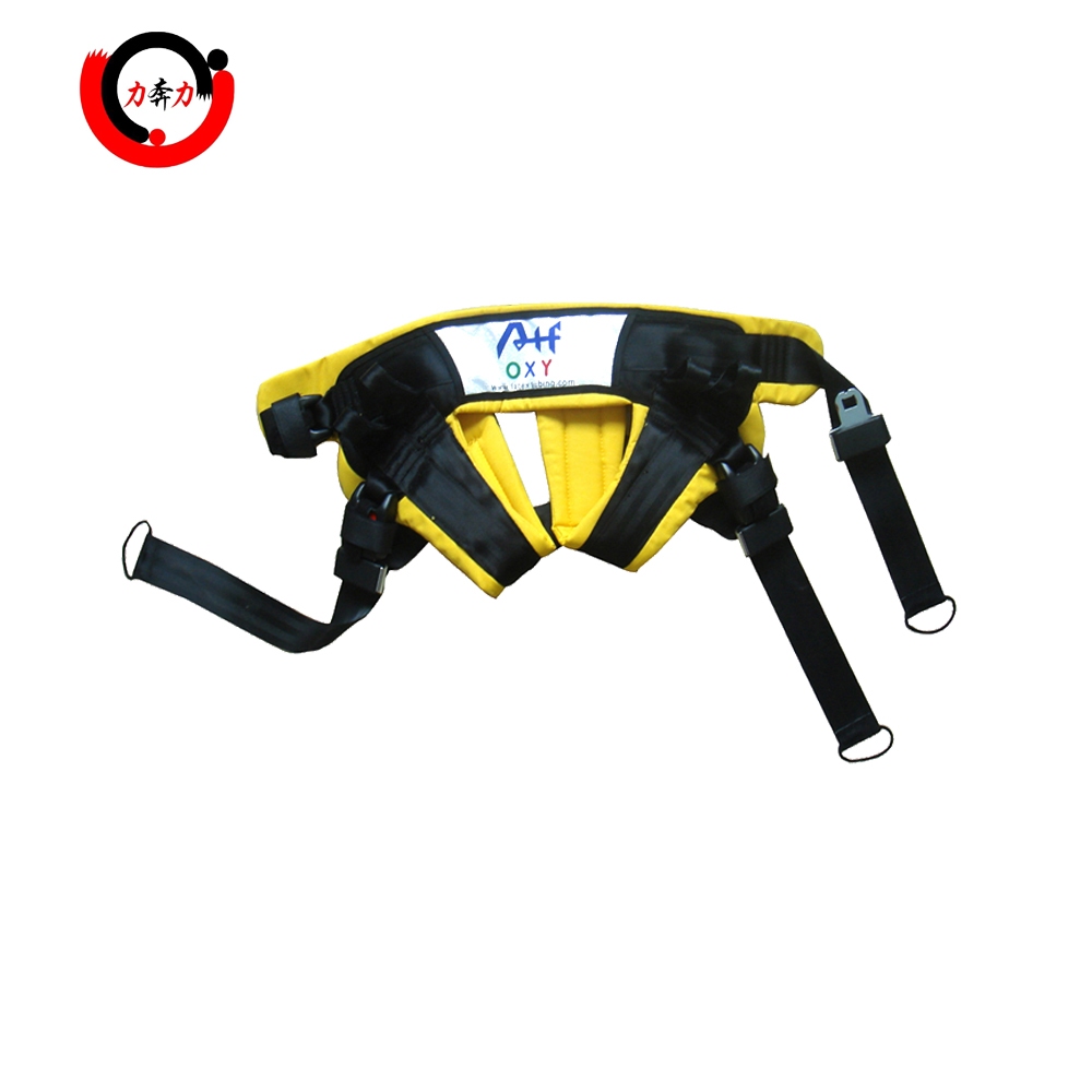 Bungeee harness
