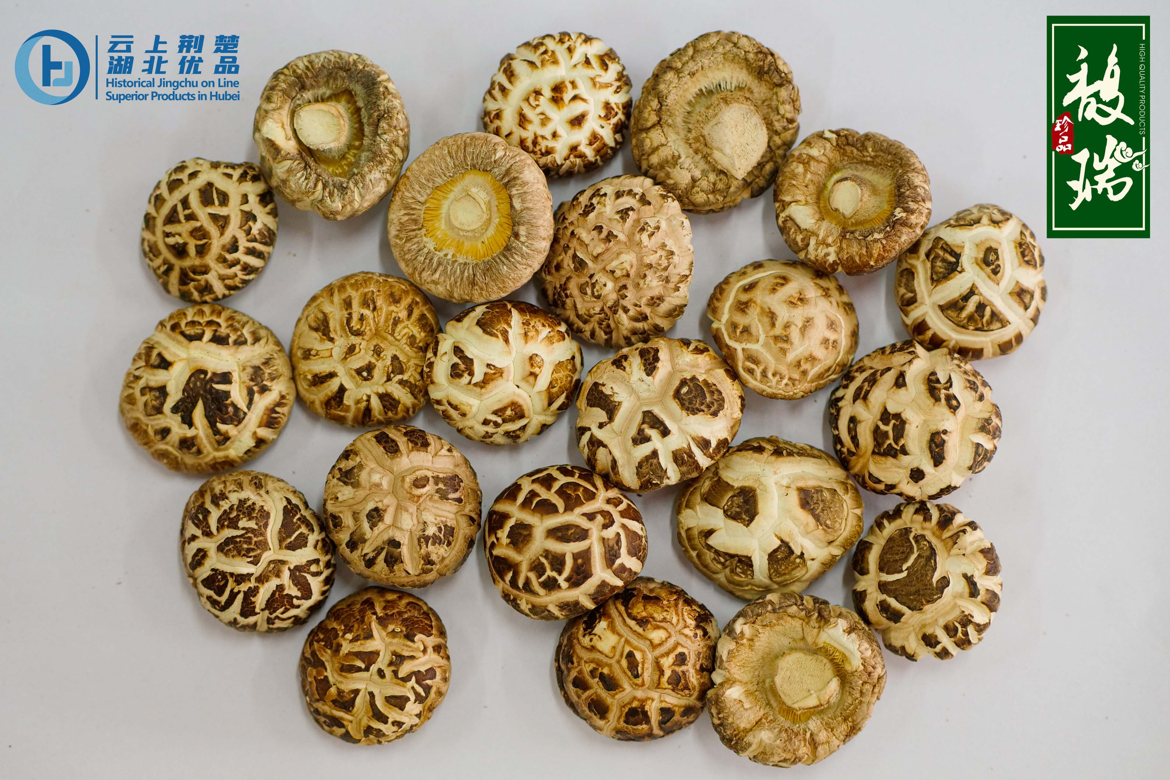 XIANGYANG SINO-THAILAND DESHENG MODERN AGRICULTURE CO.,LTD. – raqueta de tenis 2