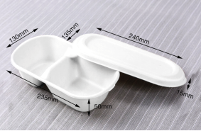 850ml 2compartments Salad Box