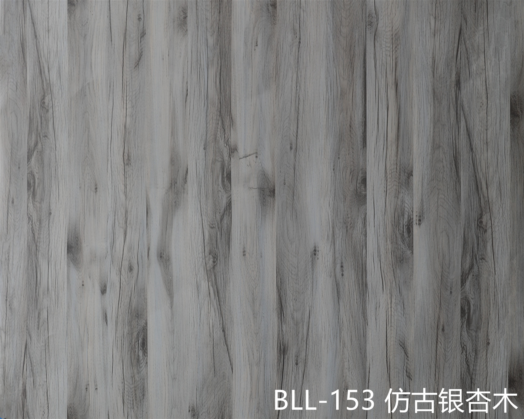 Color coated aluminum coil