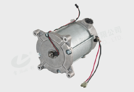 Jiangsu Leili Motor Co.,Ltd. – DC motor 3