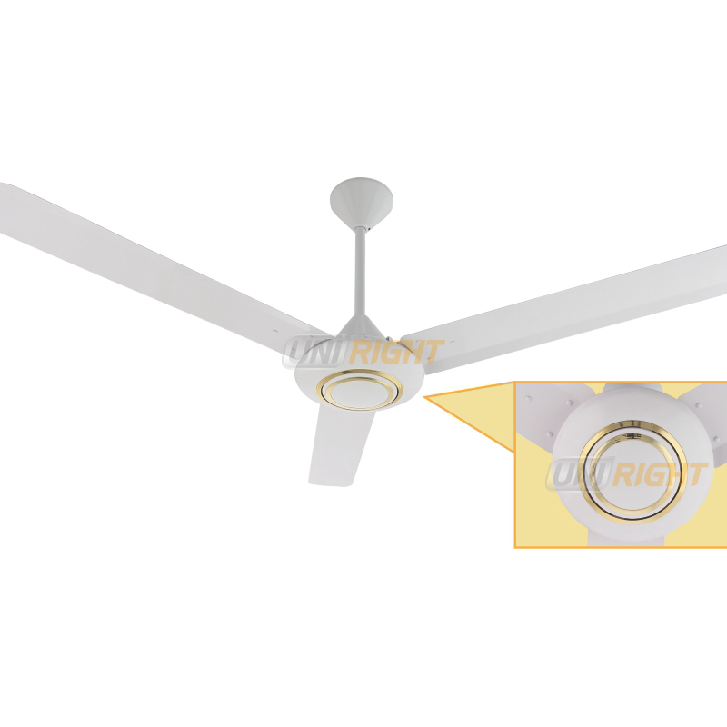 Ceiling Fan