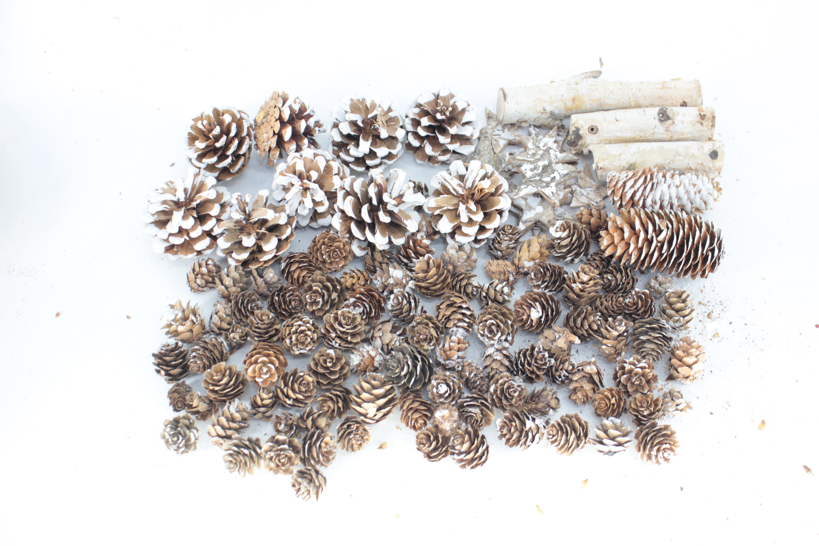 Natural pinecones
